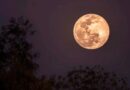 Superluna de Ciervo: dónde y cuándo se podrá ver uno de los fenómenos más esperados