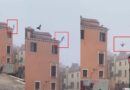 Alcalde de Venecia busca al “estúpido” que se tiró desde un techo al canal