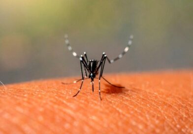 Dengue:  la OPS aseguró que esta será la peor temporada de la historia en América