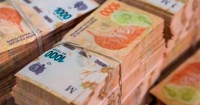 Según la agencia Bloomberg el Peso argentino se consolida como la moneda más revalorizada en el mundo
