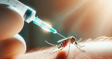 El Gobierno vacunará contra el dengue en zonas endémicas del país