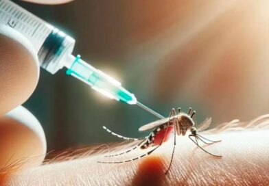 El Gobierno vacunará contra el dengue en zonas endémicas del país